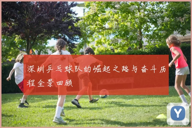 深圳乒乓球队的崛起之路与奋斗历程全景回顾