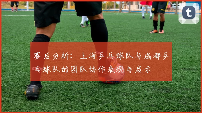 赛后分析：上海乒乓球队与成都乒乓球队的团队协作表现与启示