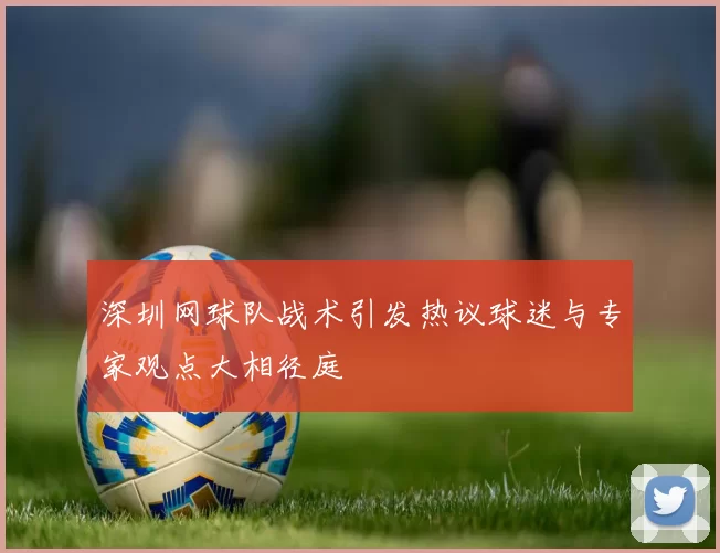 深圳网球队战术引发热议球迷与专家观点大相径庭