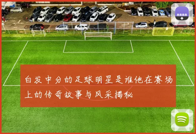 白发中分的足球明星是谁他在赛场上的传奇故事与风采揭秘