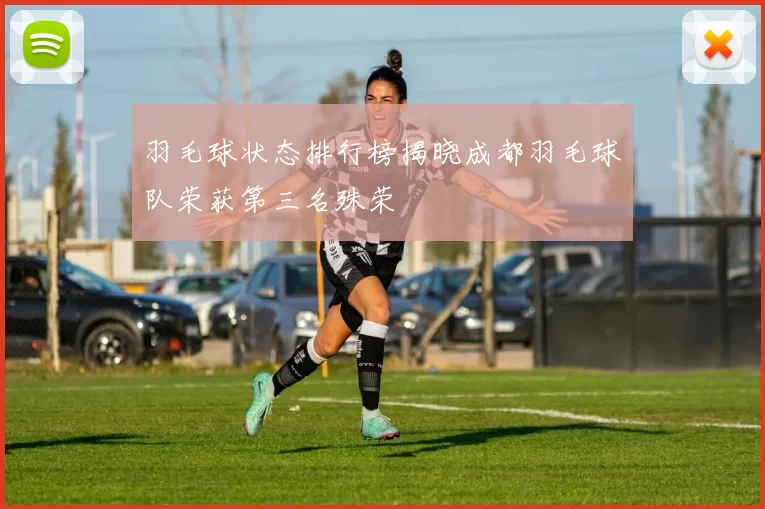 羽毛球状态排行榜揭晓成都羽毛球队荣获第三名殊荣