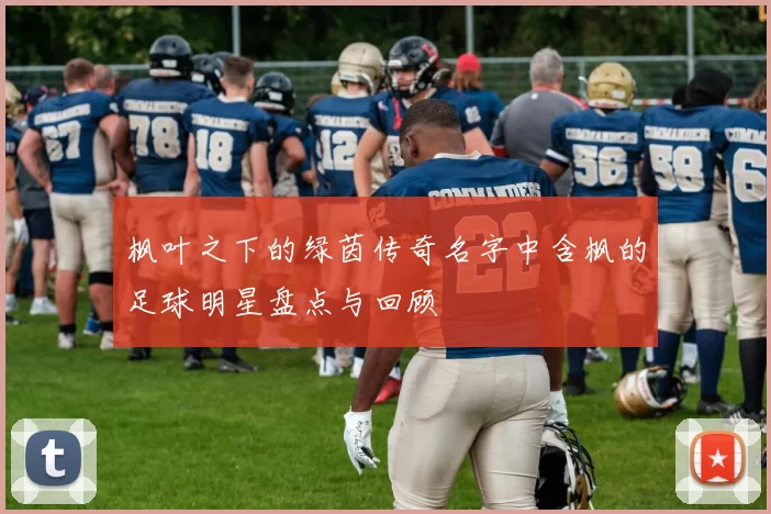 枫叶之下的绿茵传奇名字中含枫的足球明星盘点与回顾