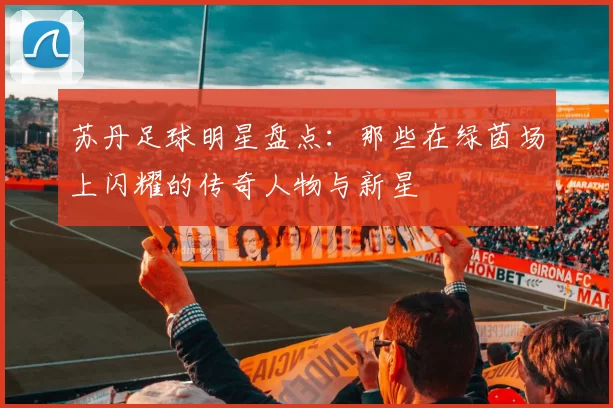 苏丹足球明星盘点：那些在绿茵场上闪耀的传奇人物与新星