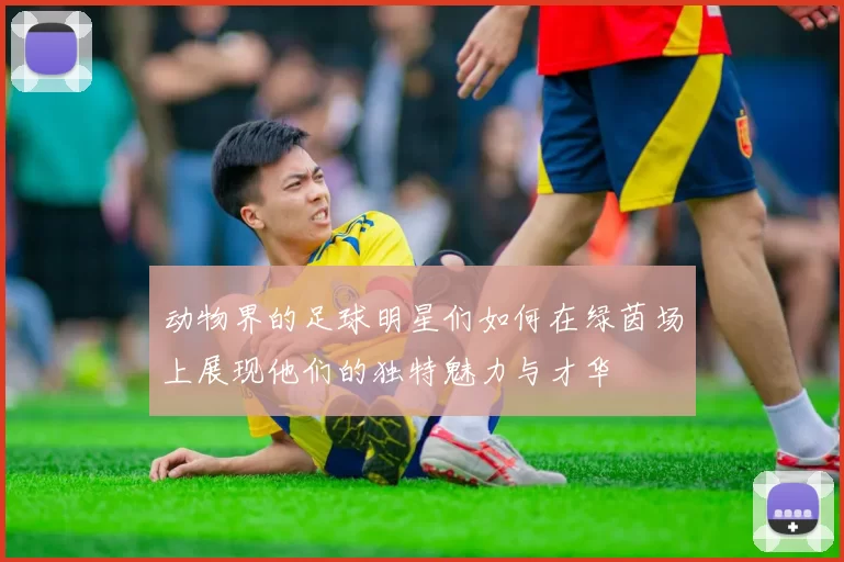 动物界的足球明星们如何在绿茵场上展现他们的独特魅力与才华
