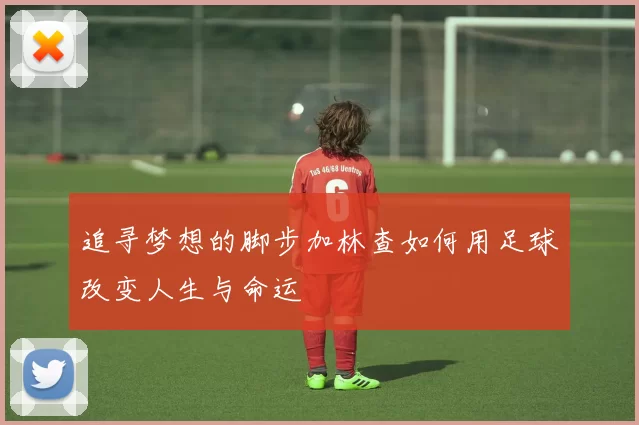 追寻梦想的脚步加林查如何用足球改变人生与命运