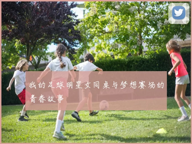 我的足球明星女同桌与梦想赛场的青春故事