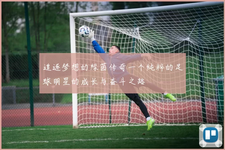 追逐梦想的绿茵传奇一个纯粹的足球明星的成长与奋斗之路