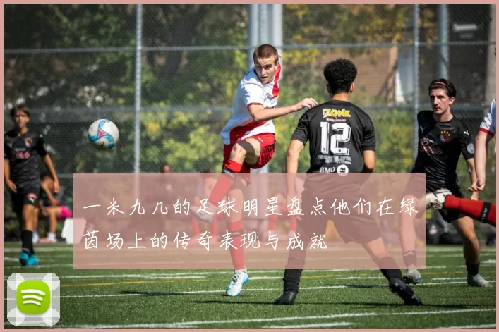 一米九几的足球明星盘点他们在绿茵场上的传奇表现与成就