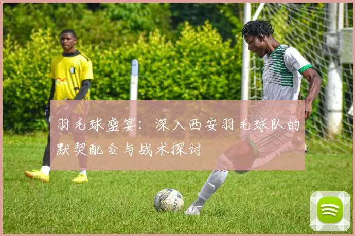 羽毛球盛宴：深入西安羽毛球队的默契配合与战术探讨