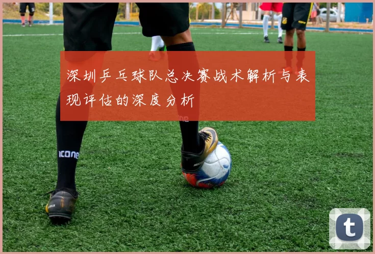深圳乒乓球队总决赛战术解析与表现评估的深度分析