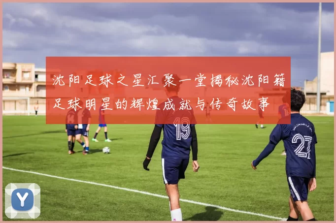 沈阳足球之星汇聚一堂揭秘沈阳籍足球明星的辉煌成就与传奇故事