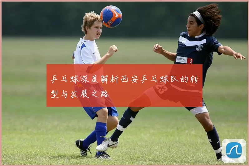 乒乓球深度解析西安乒乓球队的转型与发展之路
