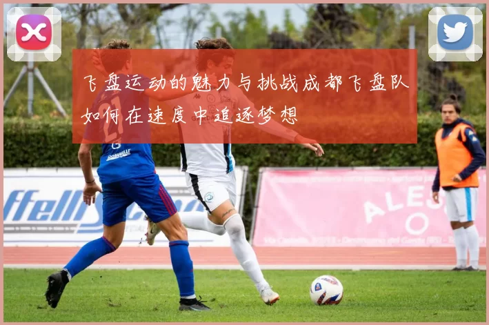 飞盘运动的魅力与挑战成都飞盘队如何在速度中追逐梦想