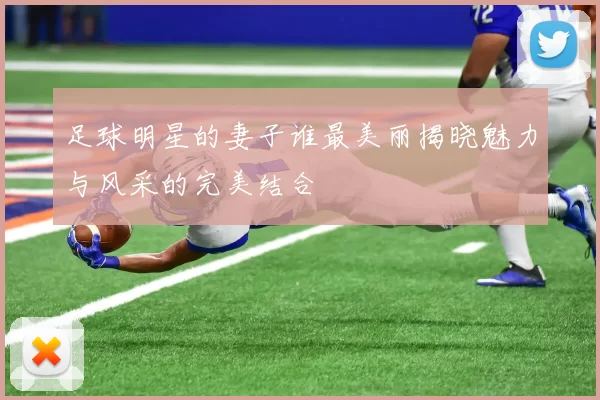 足球明星的妻子谁最美丽揭晓魅力与风采的完美结合