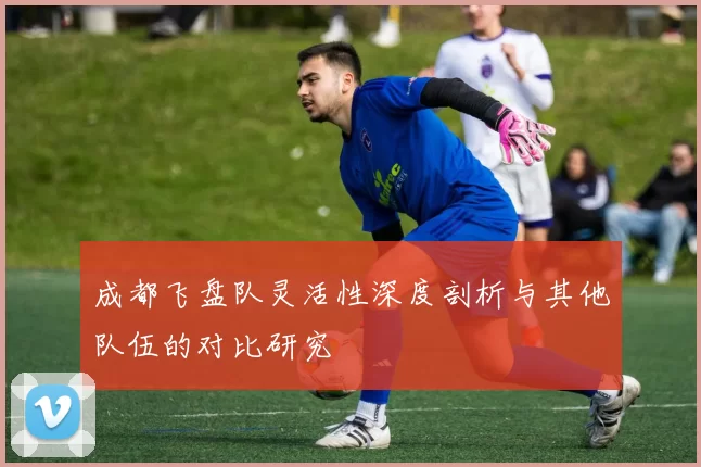 成都飞盘队灵活性深度剖析与其他队伍的对比研究