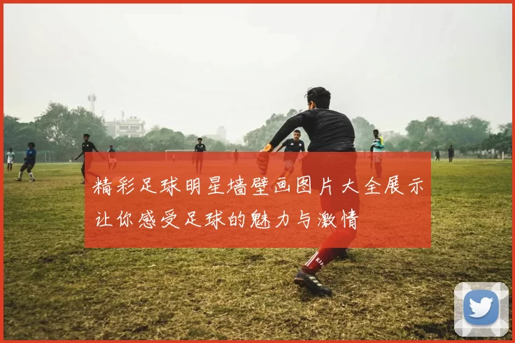 精彩足球明星墙壁画图片大全展示让你感受足球的魅力与激情