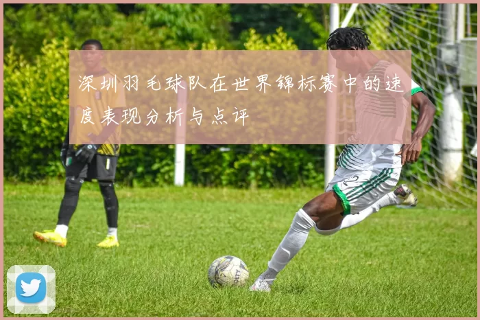 深圳羽毛球队在世界锦标赛中的速度表现分析与点评