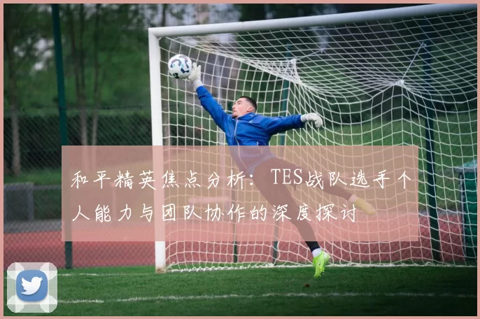 和平精英焦点分析：TES战队选手个人能力与团队协作的深度探讨